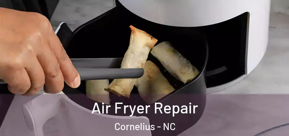 Air Fryer Repair Cornelius - NC