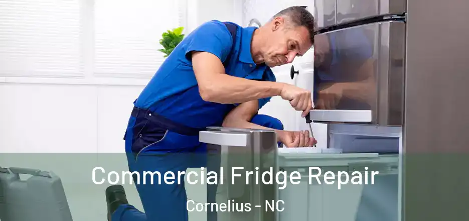 Commercial Fridge Repair Cornelius - NC