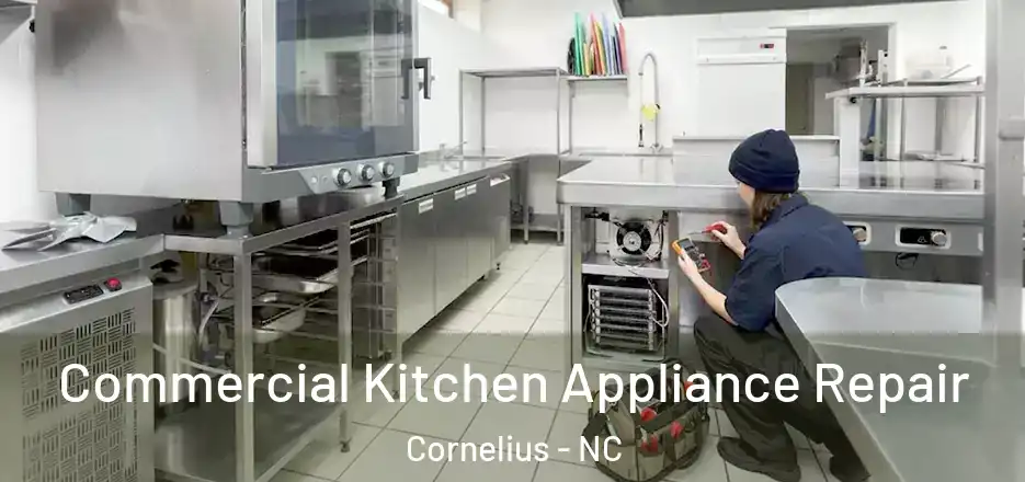 Commercial Kitchen Appliance Repair Cornelius - NC
