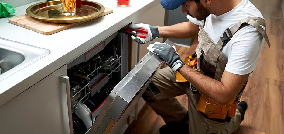 Same Day Dishwasher Not Draining Repair in Cornelius