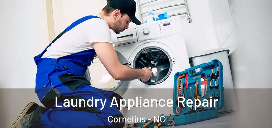  Laundry Appliance Repair Cornelius - NC