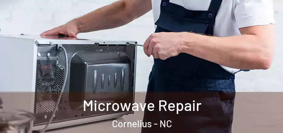 Microwave Repair Cornelius - NC