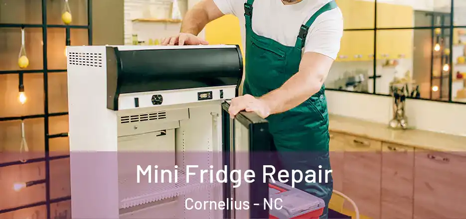 Mini Fridge Repair Cornelius - NC