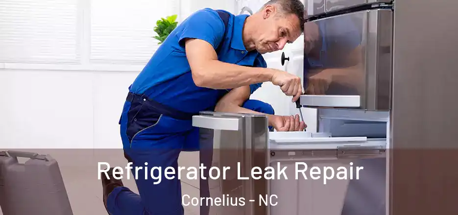 Refrigerator Leak Repair Cornelius - NC