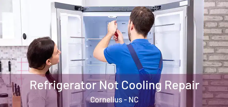 Refrigerator Not Cooling Repair Cornelius - NC