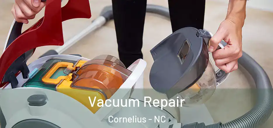 Vacuum Repair Cornelius - NC