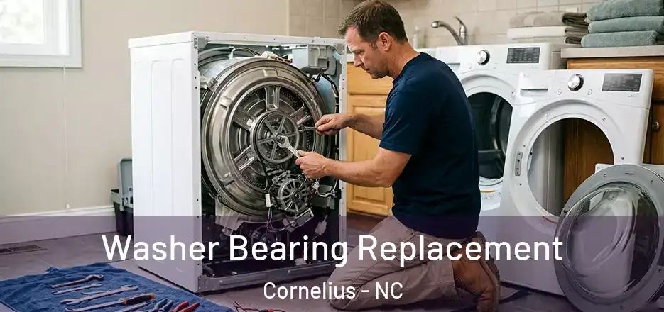 Washer Bearing Replacement Cornelius - NC
